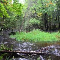 Marathon County WI Sportsman &nbsp; s Paradise images 5