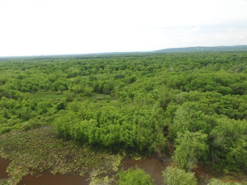 134 Acres of Wisconsin River Bottoms Columbia County featured image