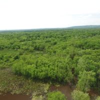 134 Acres of Wisconsin River Bottoms Columbia County