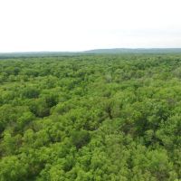 134 Acres of Wisconsin River Bottoms Columbia County images 3