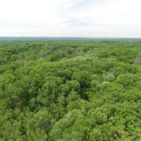 134 Acres of Wisconsin River Bottoms Columbia County images 4