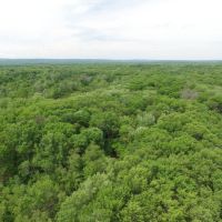 134 Acres of Wisconsin River Bottoms Columbia County images 5
