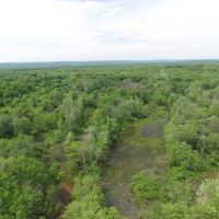 134 Acres of Wisconsin River Bottoms Columbia County images 6