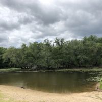 Wisconsin River Hunting Land in Columbia County images 2