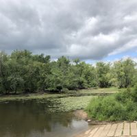 Wisconsin River Hunting Land in Columbia County images 3