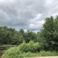 Wisconsin River Hunting Land in Columbia County images 4