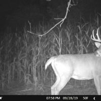 Investment Property with Giant Whitetail in Vernon County  WI images 2