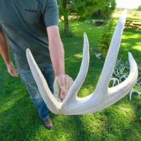 Investment Property with Giant Whitetail in Vernon County  WI images 3