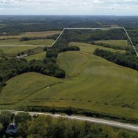 Investment Property with Giant Whitetail in Vernon County  WI images 5