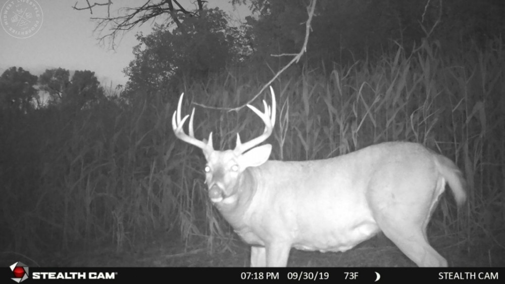 Investment Property with Giant Whitetail in Vernon County  WI featured image