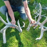 Investment Property with Giant Whitetail in Vernon County  WI images 3