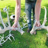 Investment Property with Giant Whitetail in Vernon County  WI images 4