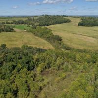 Investment Property with Giant Whitetail in Vernon County  WI images 6