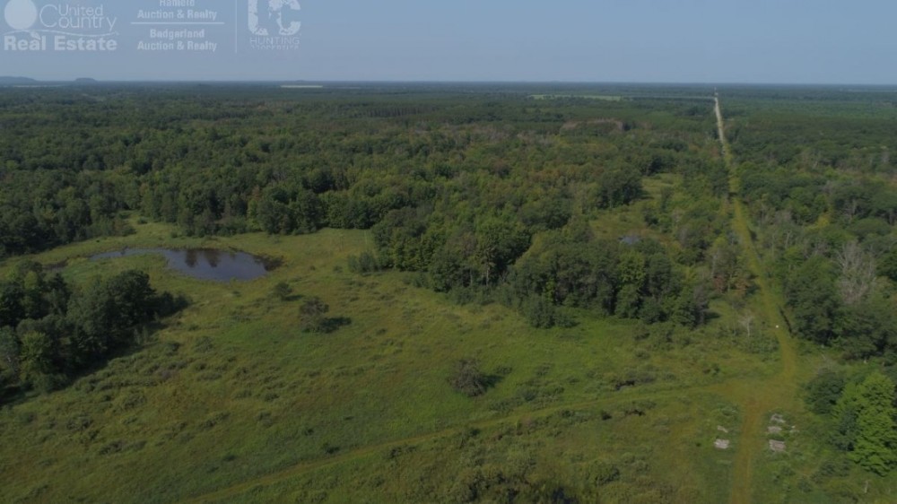 Hunting &nbsp; Recreational Land Tract For Sale in Adams County WI featured image