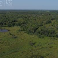 Hunting &nbsp; Recreational Land Tract For Sale in Adams County WI