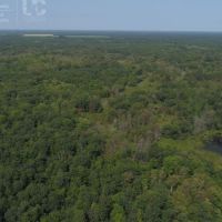 Hunting &nbsp; Recreational Land Tract For Sale in Adams County WI images 2