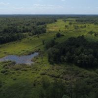 Hunting &nbsp; Recreational Land Tract For Sale in Adams County WI images 3