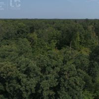 Hunting &nbsp; Recreational Land Tract For Sale in Adams County WI images 5