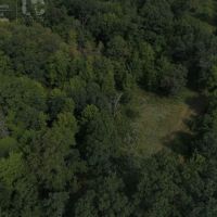 Hunting &nbsp; Recreational Land Tract For Sale in Adams County WI images 6