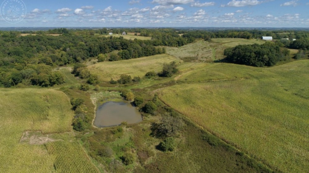 Ridgetop Hobby Farm For Sale in Vernon County  WI featured image