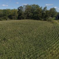Ridgetop Hobby Farm For Sale in Vernon County  WI images 3