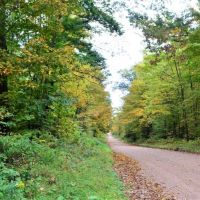120 Acre Marathon County WI Land Auction Online Only images 3