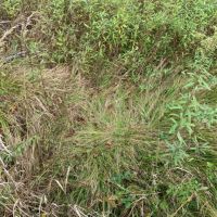 Wisconsin Hunting Land For Sale in Portage County images 4