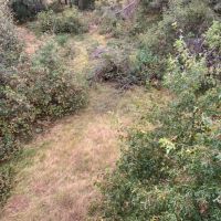 Wisconsin Hunting Land For Sale in Portage County images 5