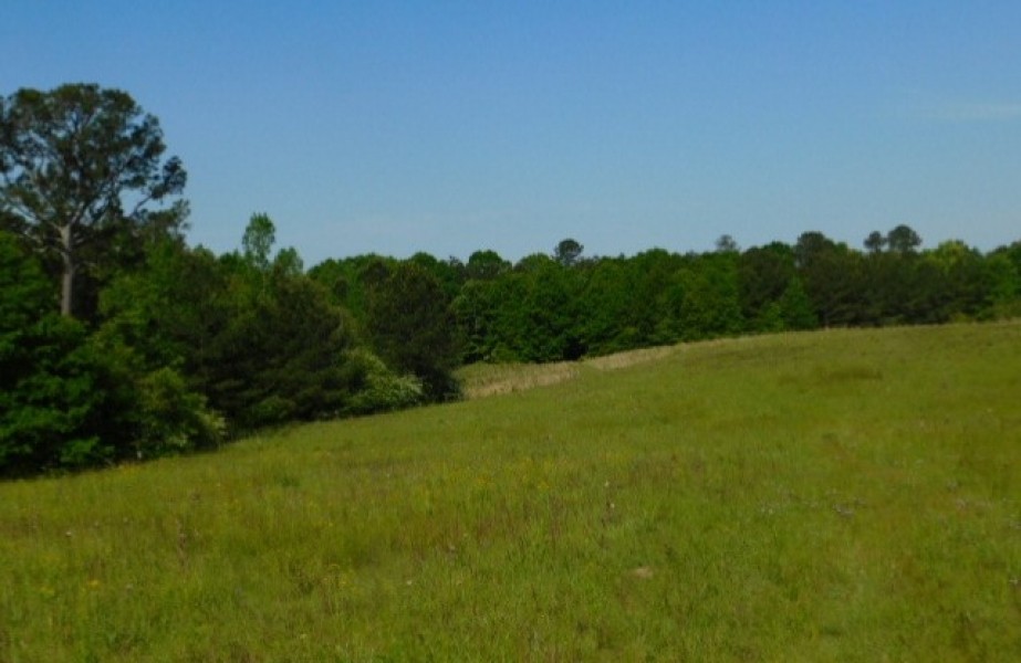 32.5 Acres in Copiah County in Hazlehurst  MS featured image