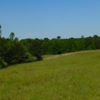 32.5 Acres in Copiah County in Hazlehurst  MS