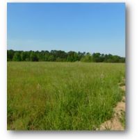 32.5 Acres in Copiah County in Hazlehurst  MS images 2