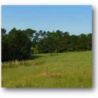 32.5 Acres in Copiah County in Hazlehurst  MS images 3