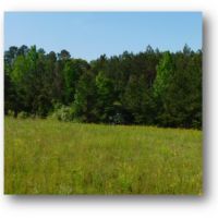 32.5 Acres in Copiah County in Hazlehurst  MS images 4