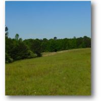 32.5 Acres in Copiah County in Hazlehurst  MS images 5