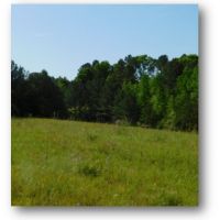 32.5 Acres in Copiah County in Hazlehurst  MS images 6