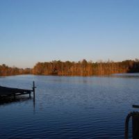 Southeast Alabama Quail, Deer, and Turkey Hunting at Private Lodge