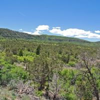Moore Ranch images 3