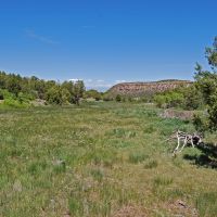 Moore Ranch images 4