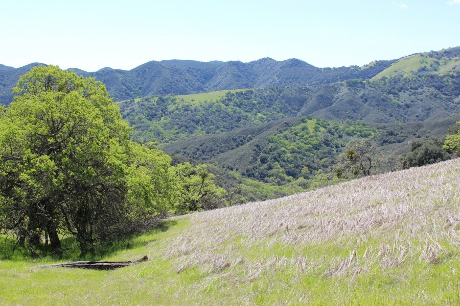 Blazing Saddles Acreage featured image