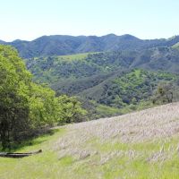 Blazing Saddles Acreage