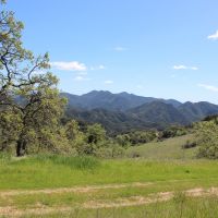 Blazing Saddles Acreage images 2