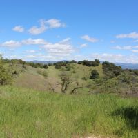 Blazing Saddles Acreage images 3
