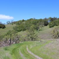 Blazing Saddles Acreage images 4