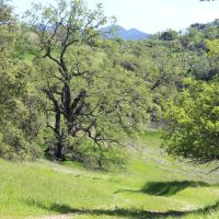 Blazing Saddles Acreage images 5