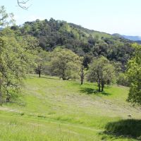 Blazing Saddles Acreage images 6