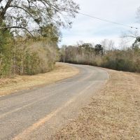 40 Wooded Acres with Frontage on Terry s Creek images 2