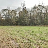 40 Wooded Acres with Frontage on Terry s Creek images 3