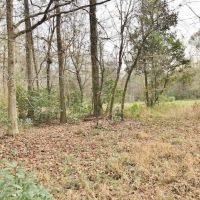 40 Wooded Acres with Frontage on Terry s Creek images 5
