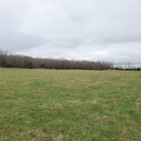 Farm and Hunting Land for Sale in South Central Missouri images 2
