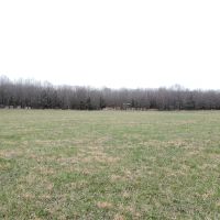 Farm and Hunting Land for Sale in South Central Missouri images 5